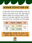 제주감귤 제주기념품 특산품 보리농장 감귤맛집 이시디 조생 : 해도네