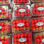 [수원시 배달] 상큼하고 달달해 맛이 좋은 딸기 1팩 500g [정자 과일나라] : 동네시장 장보기