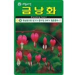 아람종묘 금낭화 씨앗 20립 금낭화 꽃씨 야생화 종자 : 양동씨앗마켓