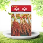 흙닷컴 수수씨앗 20g 찰수수 국내 재래종 씨앗 종자 : 흙닷컴
