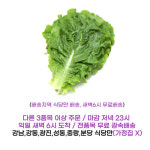 상추 청상추 B급 4kg 가락시장 내일 새벽6시 배송지역 식당만 직접배송 : 식당만 배송 마켓대리서비스