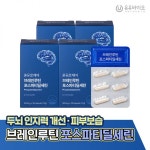 두뇌 인지력 개선 온유로케어 브레인루틴 포스파티딜세린 4박스 : LifeCARE