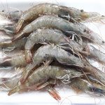 [대전 서구 배달] 수입산 냉동 대하 1kg [한민 대천수산] : 동네시장 장보기