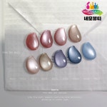 프롬더네일 세피아 자석젤 9종 세트 : 네모뷰티