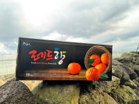 [산지직송 고당도] 제주레드향 가정용 5kg/10kg : 제주금성농장