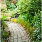 무당벌레퇴치 지네가루 쥐며느리 바구미 퇴치 아파트소독약 콩벌레 유령개미 퇴치 : 땃팜