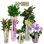 39000꽃배달 삼구플라워 사구 49플라워 화환35000 43 45 49 59 오구플라워 : 39000꽃배달 삼구플라워