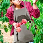 농사 농작물 수확 앞치마 앞 주머니 포켓 하단 개방 수확기 목걸이 앞커버 가리개 과수원 작업복 : 하이트리mil