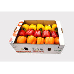 한스팜 가정용 파프리카 5kg : 완주몰