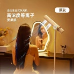 머리 말리기 바디드라이기 고속 수직 헤어 드라이어 단일상품 : 빈투문