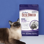 베스트브리드 그레인프리 캣 다이어트 닭고기, 1.8kg, 2개 : 강아지에너지