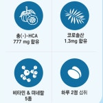 스마일렌 혈당컷 다이어트 56정 1박스 4주 혈당 체지방 CUT 코로솔산 가르시니아 효능 : 프레쉬21