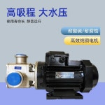 스테인레스 위생 로브 펌프 고점도 초코렛 식품 워터 RXB-20 EPDM 0.55KW 380V : 차온수3