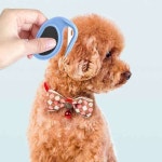 강아지 빗 반려동물 털 엉킴 방지 브러쉬 : 바보집사