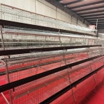 이티엔 스테인리스강 아연 도금 암탉 케이지 두꺼운 와이어 닭장 가금류 닭 농장 : 이티엔티엔