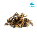 모비딕 부세 활착 유목 1개 수족관 어항 테리라움 꾸미기 : 주식회사 모비딕