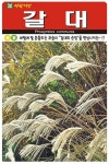 순정이 떠오르는 갈대 씨앗 1L 잔디 야생화 씨앗(AR) : 신가네