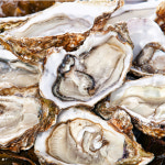 통영 제철 삼배체굴 1kg 하프셀 밴딩 손질 석화 반각굴 생굴 : 미식탁 스토어