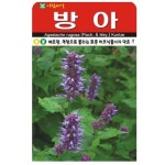 방아씨앗50ml/50평파종추어탕 산나물 채소 종자(AR) : 신가네