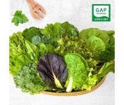 프리팜 GAP인증 신선한 쌈채소 600g : 구쿠다스