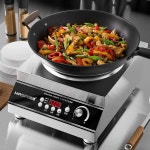 고화력 인덕션 전기 오목 주방 대평면 고출력 노천로 4200W 평면 35L : 성민이직구몰