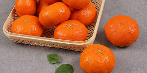 제주 레드향 3kg : 지투지샵