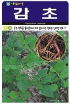 감초 씨앗(500립)소포장 약방의 감초 약초종자(AR) : 녹색그린농산