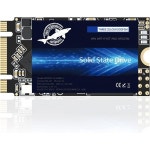 내장 하드 데스크탑 드라이브 도그피시 M.2 SATA SSD 2242 4TB NGFF 3D NAND TLC 내부 최대 읽기 속도 560MBs PC 및 노트북용 : 십일피우피