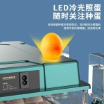 달걀부화기 전란 알 온도조절 축사 농장 시골 자동 조류 : 오늘의선물X