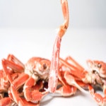 [100% 국내산] 만솔수산  동해안 일반대게 ,준박달대게 : 만솔수산1호점