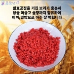 왕훙붕어아저씨 천리향 보리알갱이 떡밥첨가제 붕어 잉어 민물낚시 : 용왕낚시