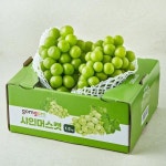 곰곰 샤인머스캣 1.5kg 1박스 one option : Amim