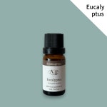 유칼립투스 에센셜 오일 12ml ( Eucalyptus aroma oil) : 아로마젠타에이지