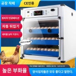 자동회전 기본 미니 자동 부화알 달걀 소형 부화기 자동부화기 병아리 : onetop25