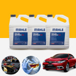 카샤 르노 SM3(뉴/네오)(14~19) 1.5d 말레 롱라이프 원액 사계절 부동액 4L 1병(레드) : 카샤스토어