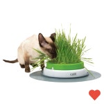 고양이간식 고양이 센시스 2.0 그래스 플랜터 1P : 한길몰205