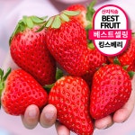 백화점시즌납품용 검증된품질 꿀과즙가득 입에서퍼지는 킹스베리 납품용 특 400... 1개 : 칠자백성