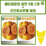 다농 베타꿀참외 씨앗 5립 고당도 고품질 기능성 참외씨 종자 2개+끈끈이 1P : 양동씨앗마켓