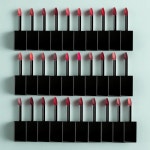 딘토 립틴트 블러글로이 3.5g 2개 색조메이크업 립케어 : 메카빌리지