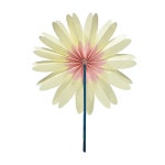 초등 종이부채 꽃 만들기 어린이집 유치원 수업 노인 소근육발달 엄마표 학습교구 초5 : 판다상