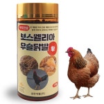삼전약품 보스웰리아 우슬닭발환 : 엑시트집