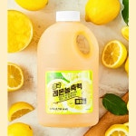 흥국 레몬농축액 플러스 1.5L , 1개 : 다정도매몰