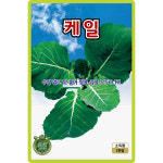 KS종묘 케일 씨앗 1000립 수량 많고 맛 좋은 버팀성이 강한 고급 품종 종자 : 양동씨앗마켓