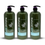 내추럴리프 티트리 프레쉬 허브 꽃향 컨디셔너 1500ml 3개 : 살림하는 아빠