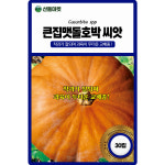 산들마켓 큰집맷돌호박 씨앗 30립 착과 좋고 과육이 두터운 교배종 국내산 고급 품종 : 산들마켓샵
