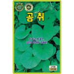 산들마켓 곰취 씨앗 100립 맛 좋고 향 좋은 심산의 곰취맛 재래종 국내산 고급 품종 종자 : 산들마켓샵
