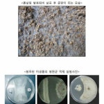 유기질비료 복합비료 텃밭용 균배양체 10kg 환경유기농자재 : 위 유미