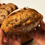 [우리밀]더브레드 통밀 발효종 빵 4개입 : 우리곡몰