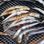 동해안 반건조 양미리 1두름 500g (20미)20cm내외 도로묵 : 더조은 상점