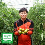 [맛딜] [해오름토마토농장/무농약인증] 대저토마토 짭짤이 2.5kg(S-3S,로얄과) : 롯데아이몰